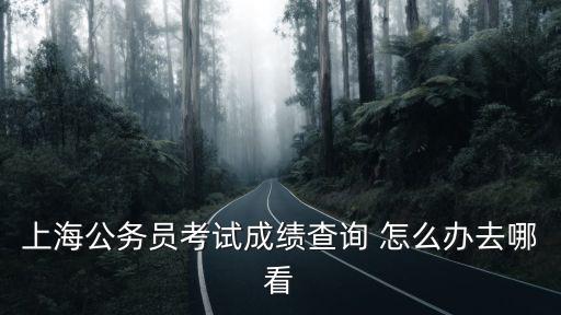 2018上海市公務員查分，上海公務員考試成績哪里查詢