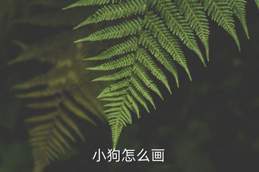 小狗怎么畫