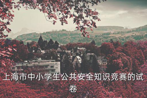 上海市中小學生公共安全知識競賽的試卷