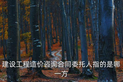 建設工程造價咨詢合同委托人指的是哪一方