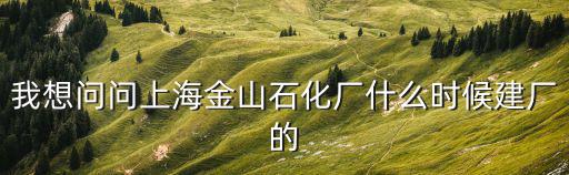 我想問問上海金山石化廠什么時候建廠的