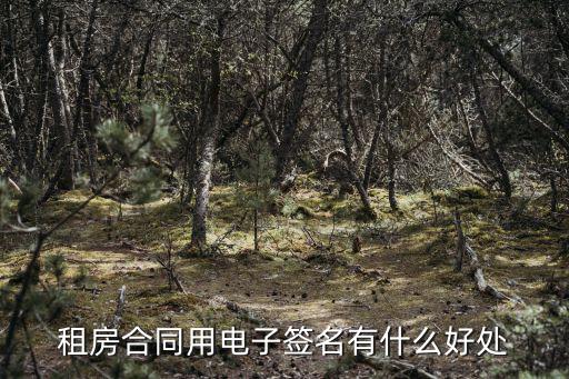 電子租房合同，租房子電子合同有法律效益嗎
