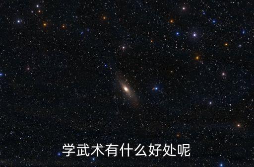 學武術有什么好處呢