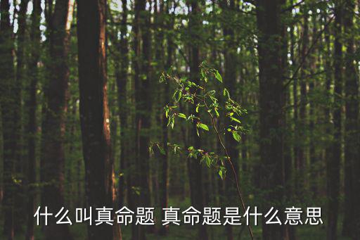什么叫真命題 真命題是什么意思