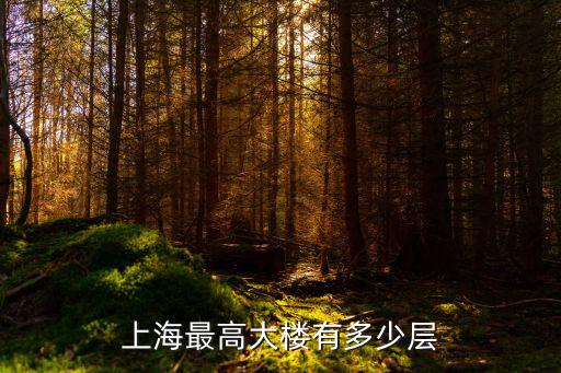上海最高大樓有多少層