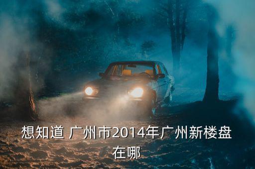 想知道 廣州市2014年廣州新樓盤在哪