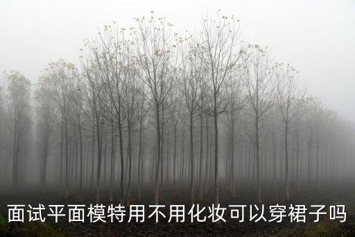 模特面試，去面試模特要注意什么