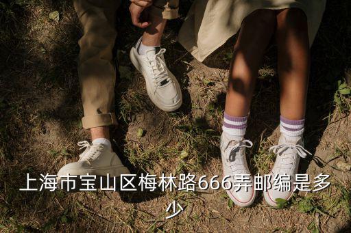上海市寶山區梅林路666弄郵編是多少