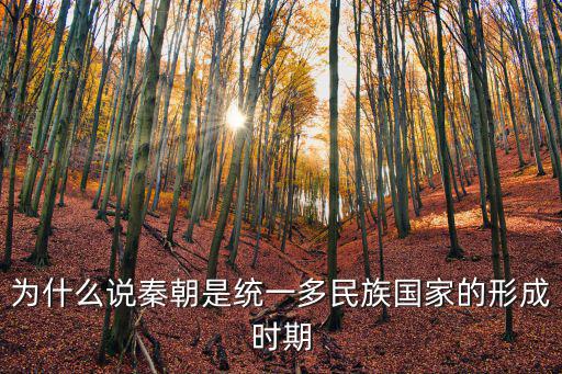 為什么說秦朝是統一多民族國家的形成時期
