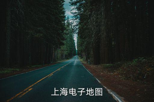 上海電子地圖