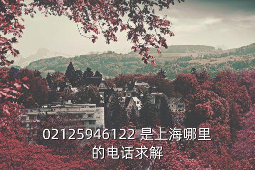 02125946122 是上海哪里的電話求解