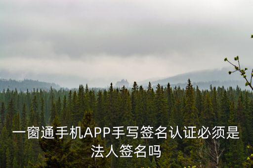 一窗通法人簽名，網(wǎng)上一窗通注冊公司法人簽字了另一個股東沒有時間第二天再登錄電子簽名