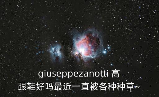 奢華高跟鞋,高跟鞋的種類