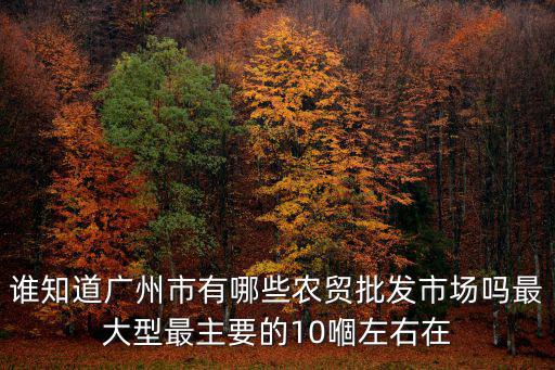 誰(shuí)知道廣州市有哪些農(nóng)貿(mào)批發(fā)市場(chǎng)嗎最大型最主要的10嗰左右在