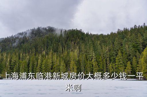 上海臨港新城新開盤樓盤定金，臨港新城老蘆公路江山路樓盤現(xiàn)在新房房價(jià)是多少錢一個(gè)平方