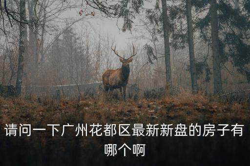 請問一下廣州花都區(qū)最新新盤的房子有哪個啊