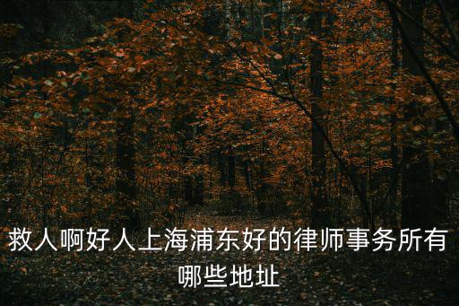 救人啊好人上海浦東好的律師事務所有哪些地址