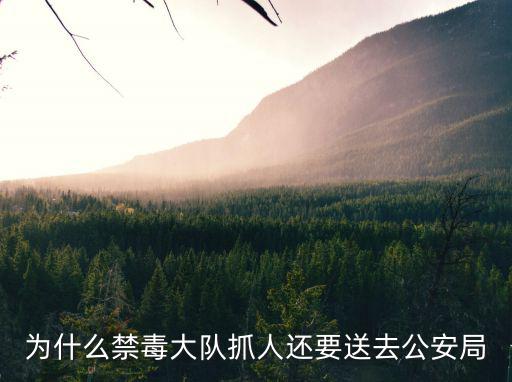 天津市津海區禁毒大隊長，緝毒大隊如何破門