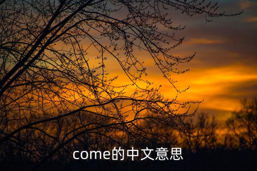 come的中文意思