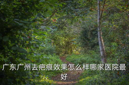 廣東廣州去疤痕效果怎么樣哪家醫院最好