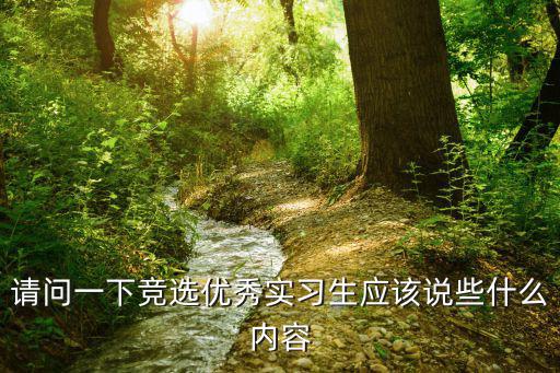 請問一下競選優秀實習生應該說些什么內容