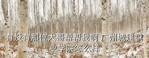 有沒有那位大哥幫幫我啊 廣州城建職業學院怎么樣