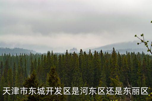 天津市東城開發區是河東區還是東麗區
