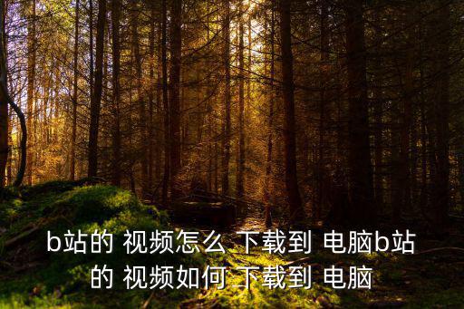 b站的 視頻怎么 下載到 電腦b站的 視頻如何 下載到 電腦