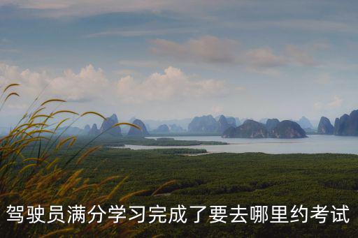 上海市駕駛證滿分考試點，上海市機動車駕駛員扣滿12分重新學習和考試應該去哪里