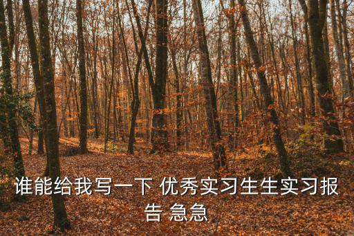 誰能給我寫一下 優秀實習生生實習報告 急急