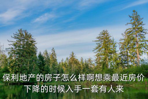 保利地產(chǎn)的房子怎么樣啊想乘最近房價(jià)下降的時(shí)候入手一套有人來