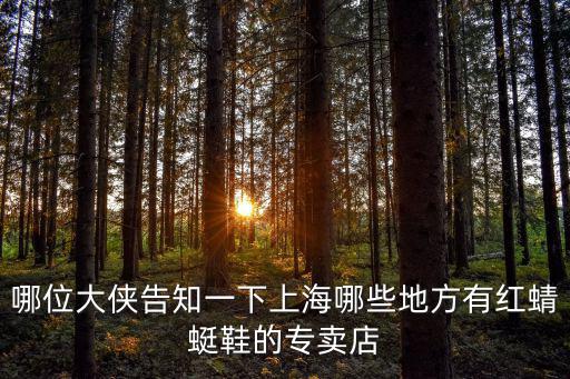 哪位大俠告知一下上海哪些地方有紅蜻蜓鞋的專賣店