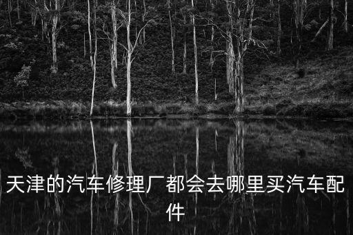 天津的汽車修理廠都會去哪里買汽車配件