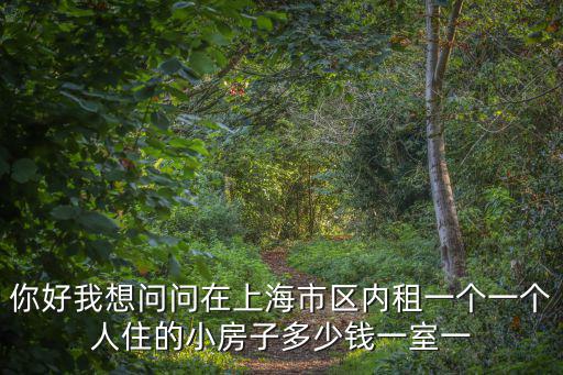 你好我想問問在上海市區內租一個一個人住的小房子多少錢一室一