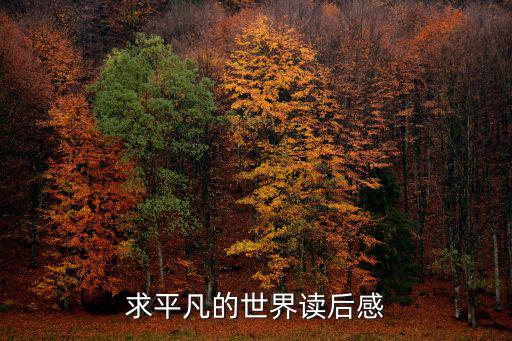 求平凡的世界讀后感