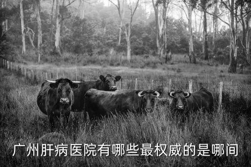廣州肝病醫院有哪些最權威的是哪間