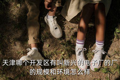 天津哪個開發區有叫新興的電子廠的廠的規模和環境怎么樣