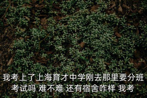 我考上了上海育才中學剛去那里要分班考試嗎 難不難 還有宿舍咋樣 我考