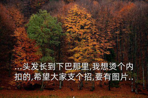...頭發長到下巴那里,我想燙個內扣的,希望大家支個招,要有圖片...