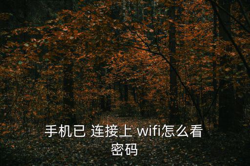  手機已 連接上 wifi怎么看 密碼
