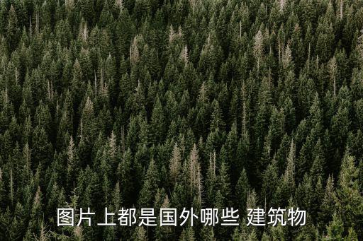 建筑圖片,清華大學標志性建筑之一景山可說是故宮屏障建筑組