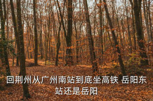 荊州到廣州南動車停靠站點，湖北荊州坐高鐵到廣州南要經過幾個站
