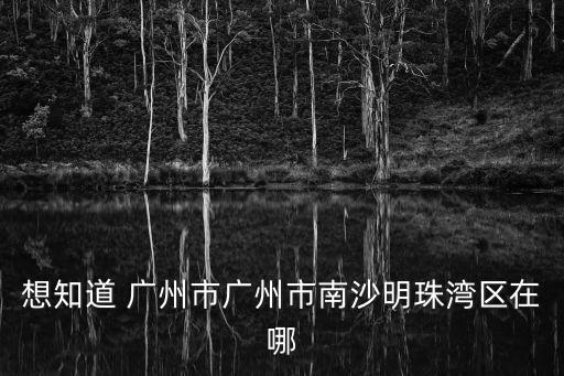 想知道 廣州市廣州市南沙明珠灣區在哪
