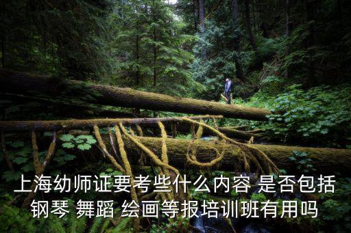上海市幼師資格證考試內(nèi)容，上海市自考幼師證需要考哪幾門課上海市下半年報名大概是什么時候