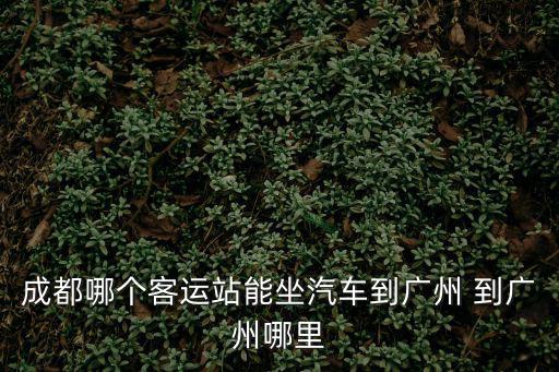 坐汽車回廣州，坐汽車從深圳到廣州是做到廣州那個站