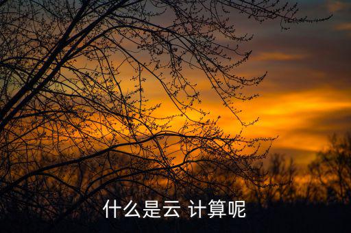 什么是云 計算呢