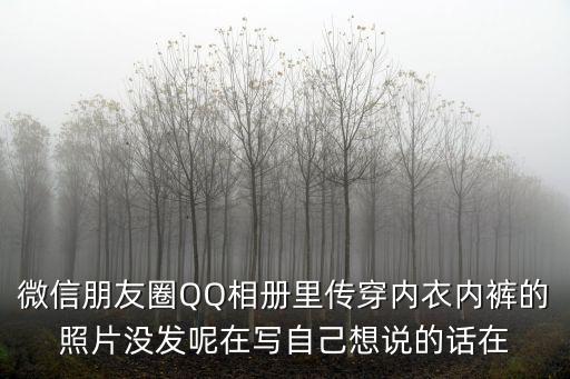 微信朋友圈QQ相冊里傳穿內衣內褲的照片沒發呢在寫自己想說的話在