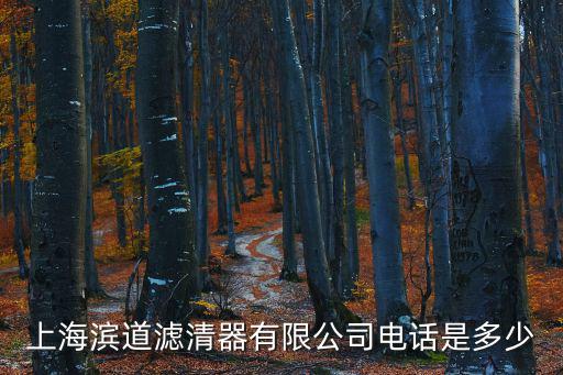 上海濱道濾清器有限公司電話是多少