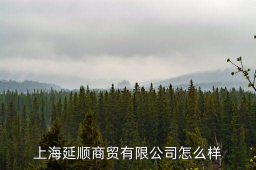 上海延順商貿有限公司怎么樣