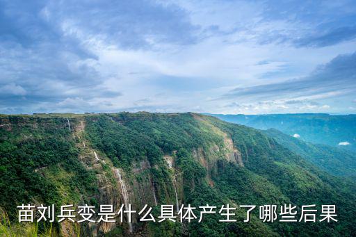 苗劉兵變是什么具體產生了哪些后果